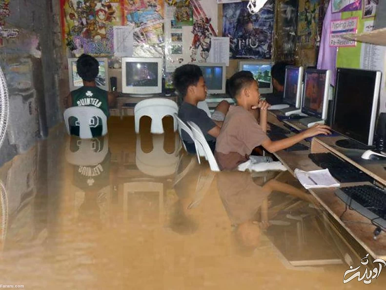 (ویدئو) بی‌توجهی گیمر‌ها به سیل!